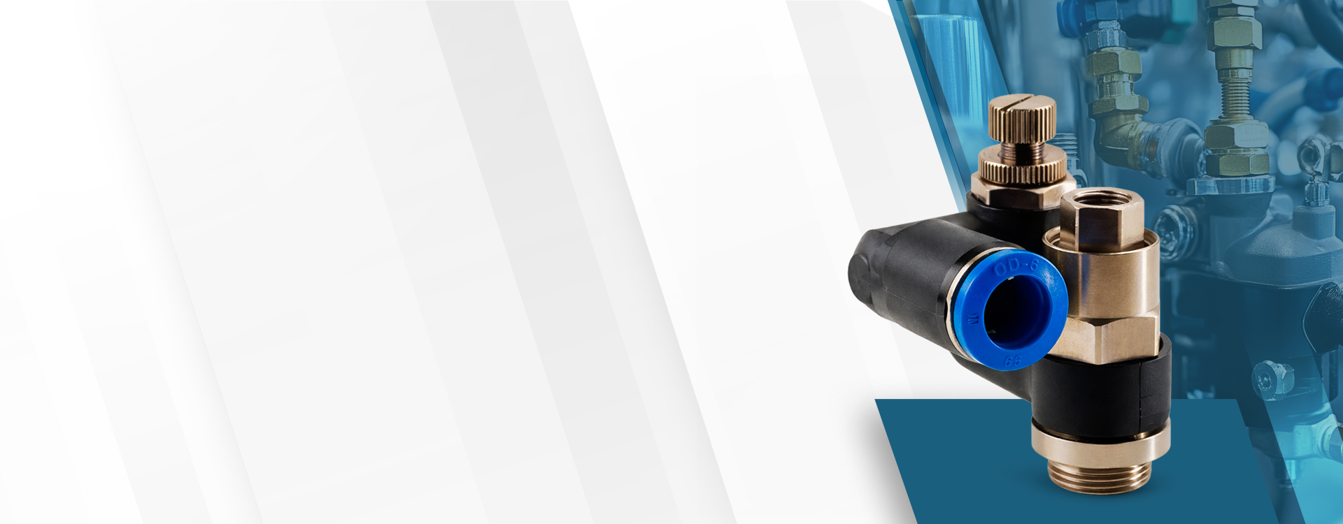 Banner 1